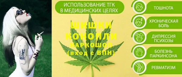стаф Горняк