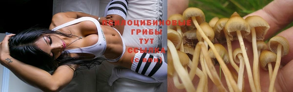 дживик Горнозаводск