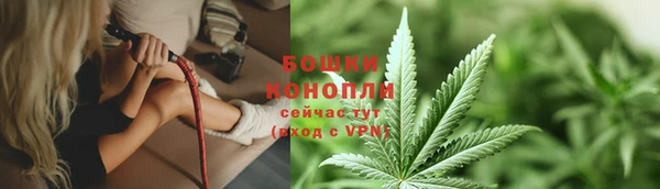 дживик Горнозаводск
