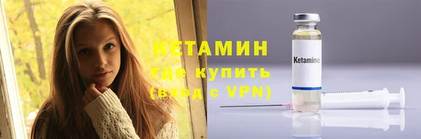 стаф Горняк