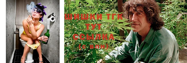 стаф Горняк