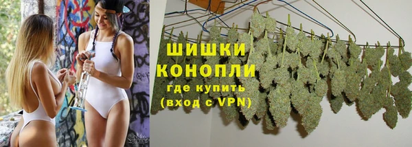 крисы Майский