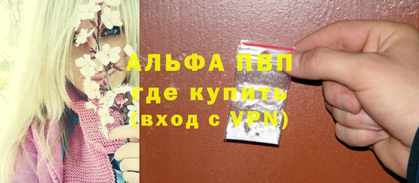 крисы Майский