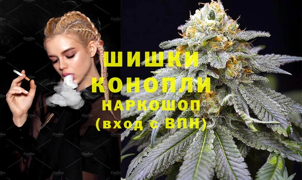 стаф Горняк