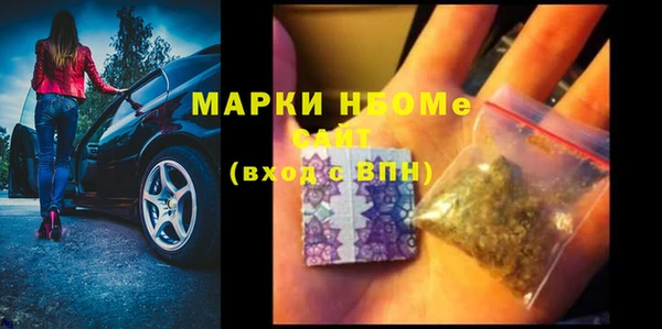стаф Горняк