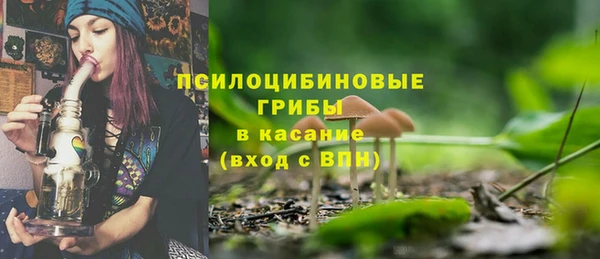 дживик Горнозаводск