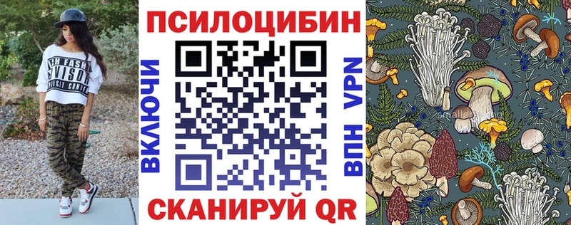 купить наркоту  Краснокаменск  Галлюциногенные грибы Psilocybine cubensis 